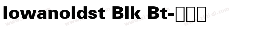 Iowanoldst Blk Bt字体转换